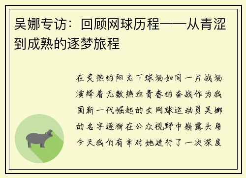 吴娜专访：回顾网球历程——从青涩到成熟的逐梦旅程