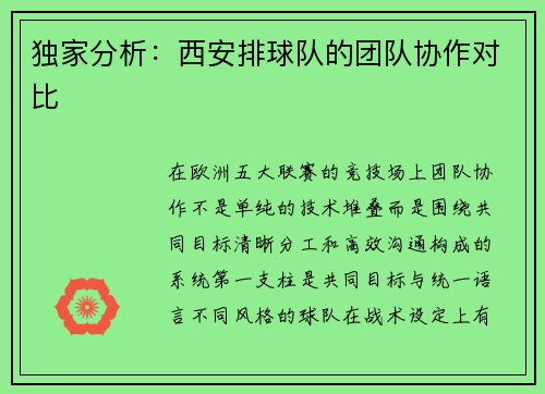 独家分析：西安排球队的团队协作对比