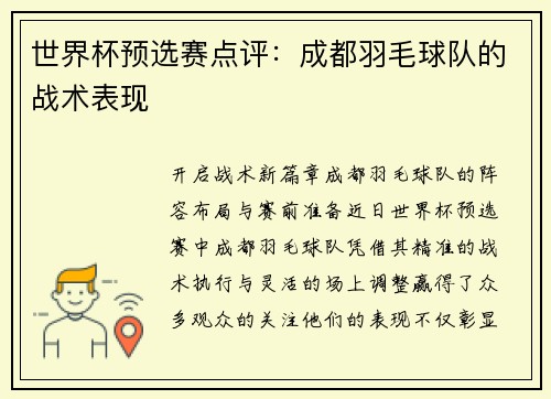 世界杯预选赛点评：成都羽毛球队的战术表现